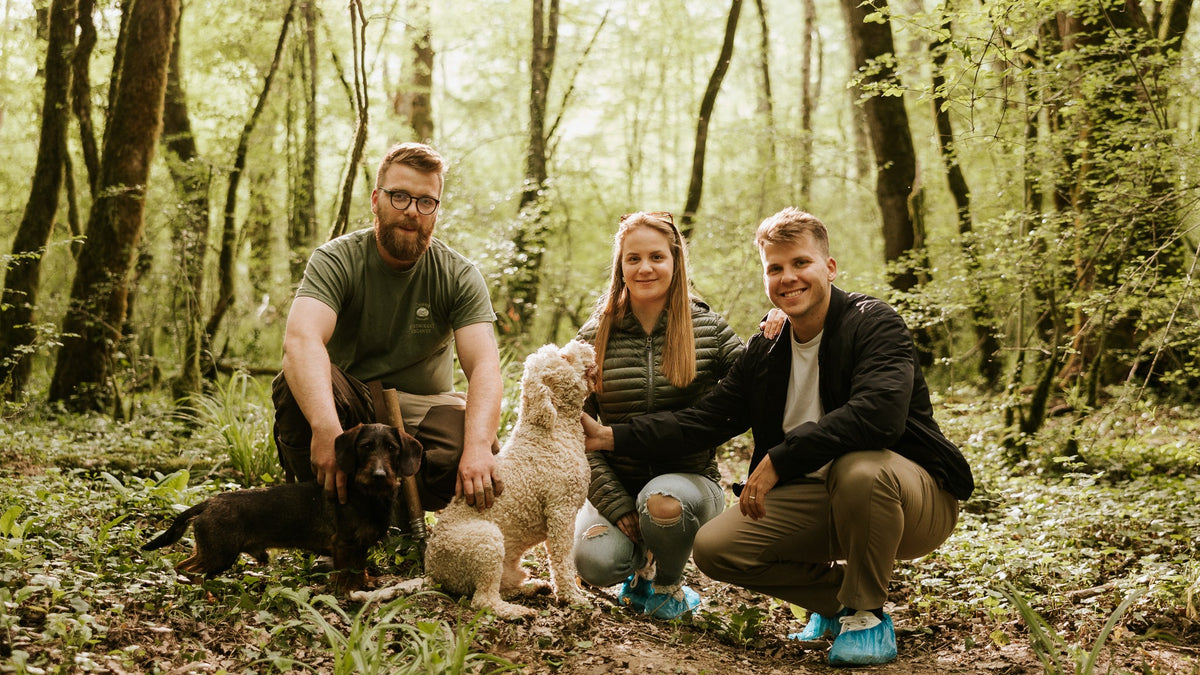 Truffle hunter with trained dogs in the Motovun forest with a couple